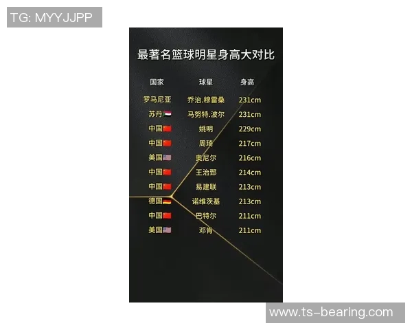 全球顶尖体育明星排行榜揭晓谁是最具影响力的运动偶像